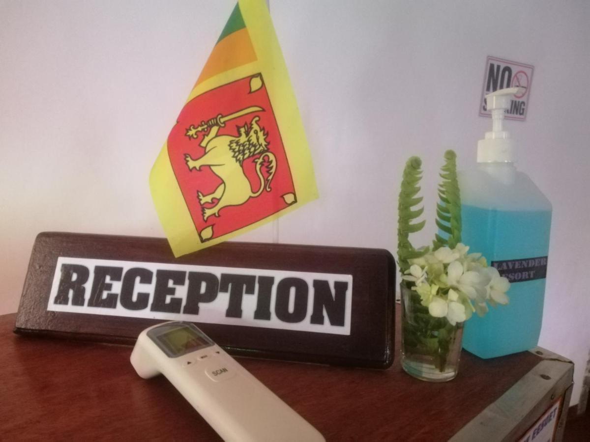 Lavender Resort Nuwara Eliya Luaran gambar